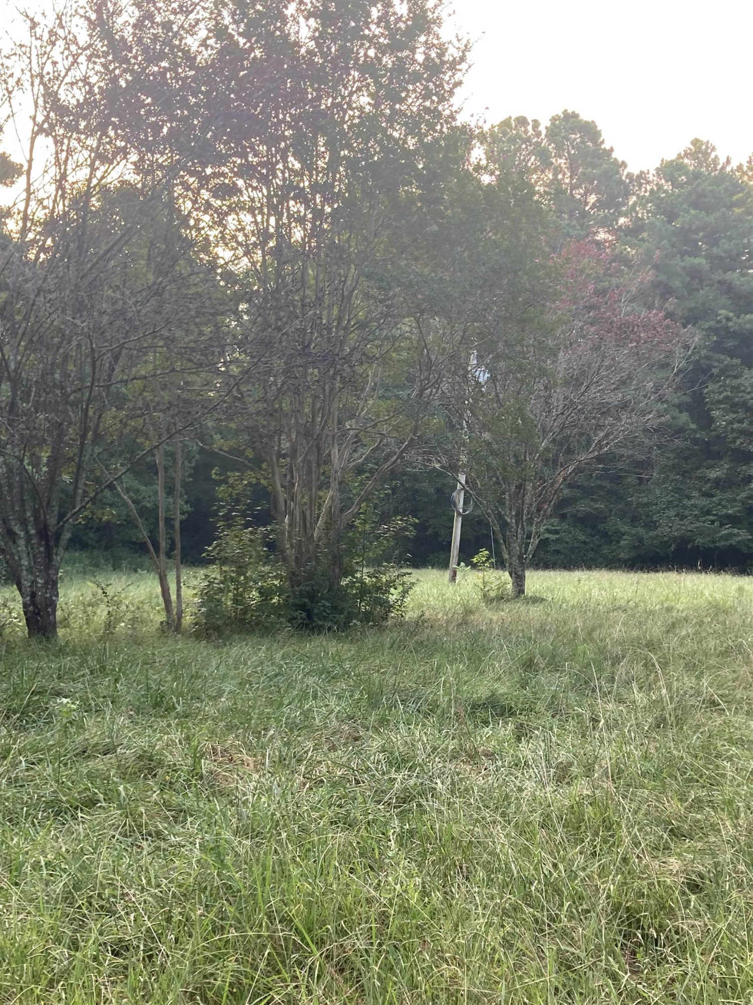 340 Carl Foushee Road Moncure, NC 27559 - Photo 7 of 8 Photo 7
