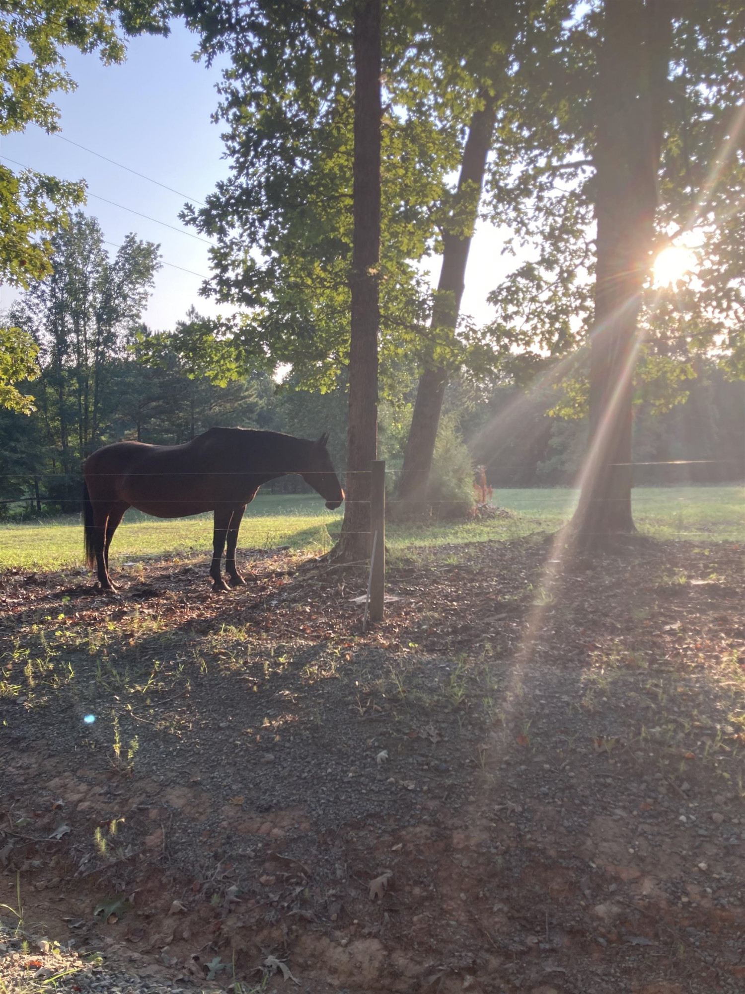 340 Carl Foushee Road Moncure, NC 27559 - Photo 8 of 8 Photo 8