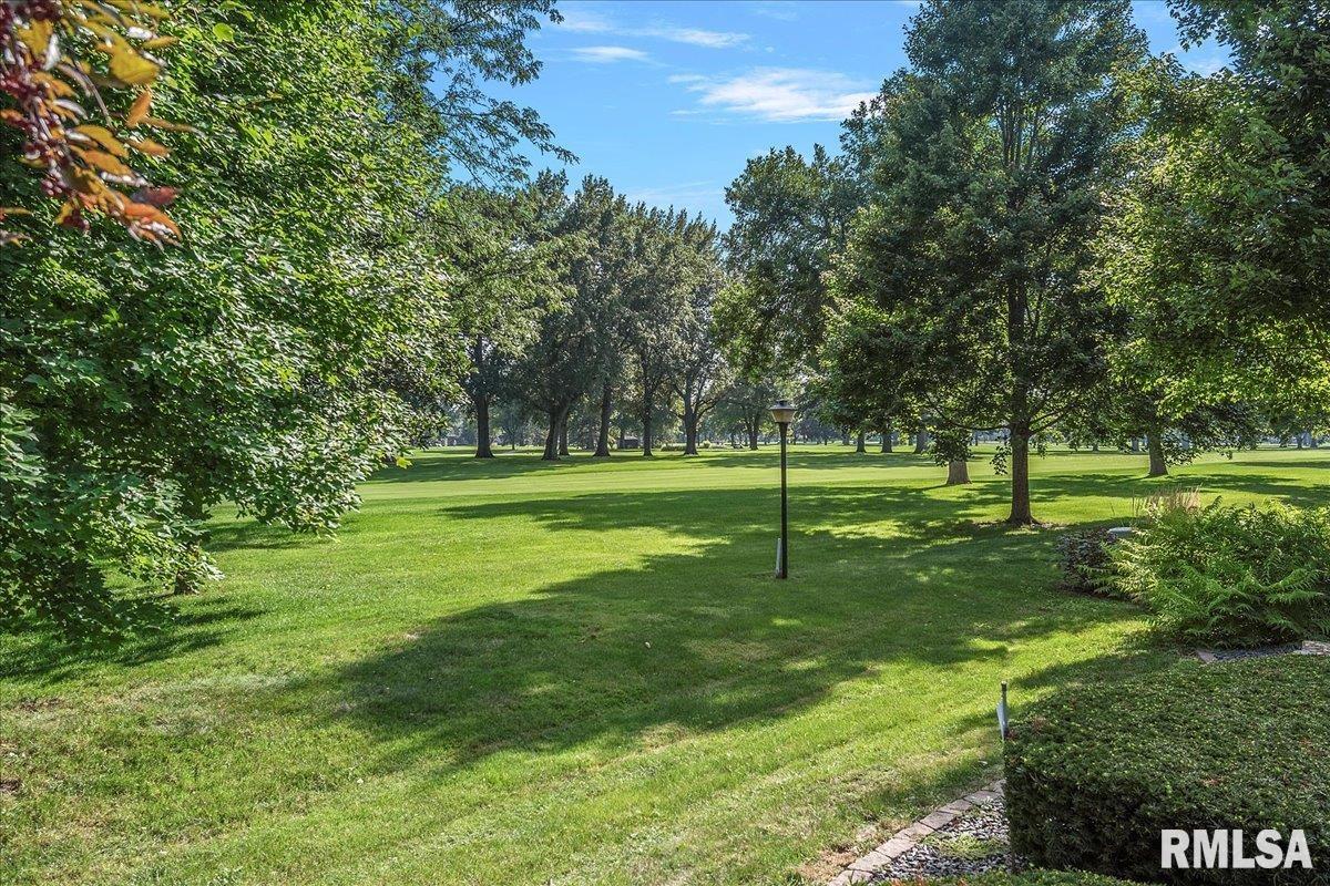 16 Turnberry Place Springfield, IL 62704 - Photo 7 of 36