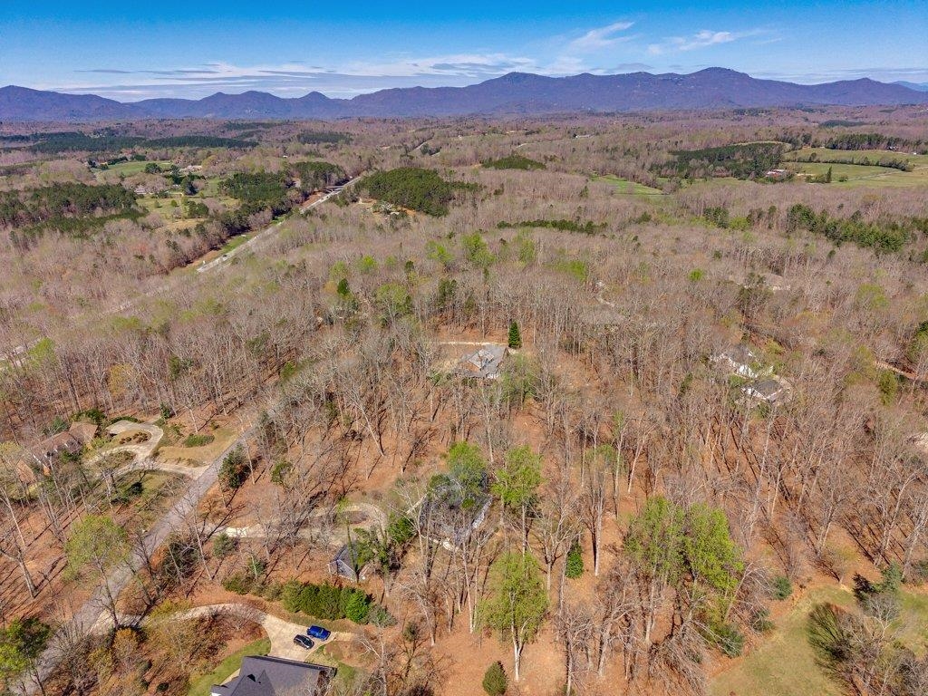 315 Earles Fort Road Landrum, SC 29356 - Photo 50 of 50