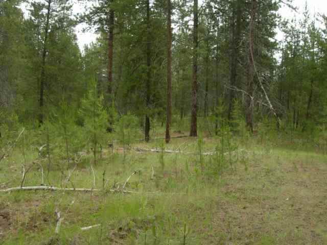 Xxx North North Road Deer Park, WA 99006 - Photo 1 of 1