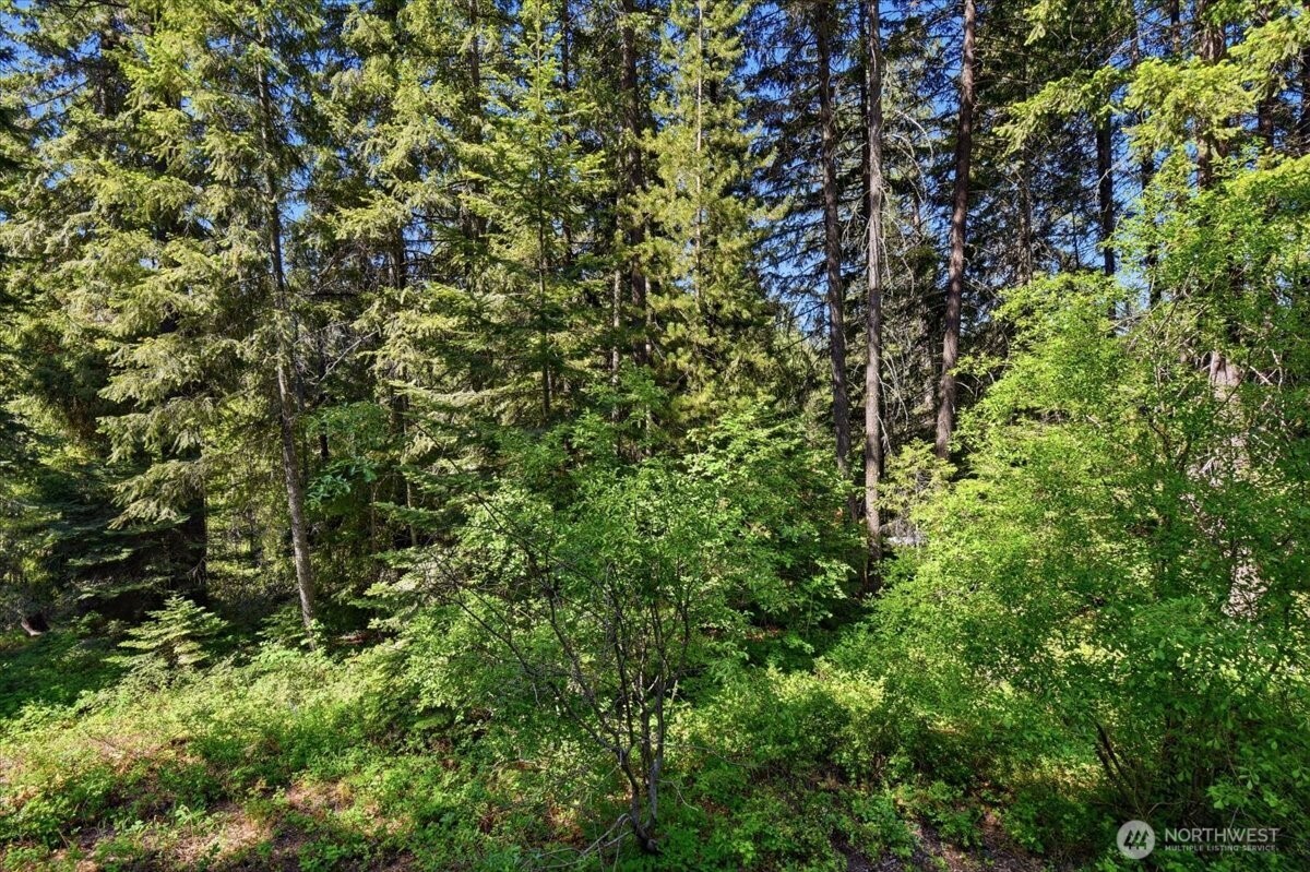 2486 Chiwawa Loop Road Leavenworth, WA 98826 - Photo 17 of 30