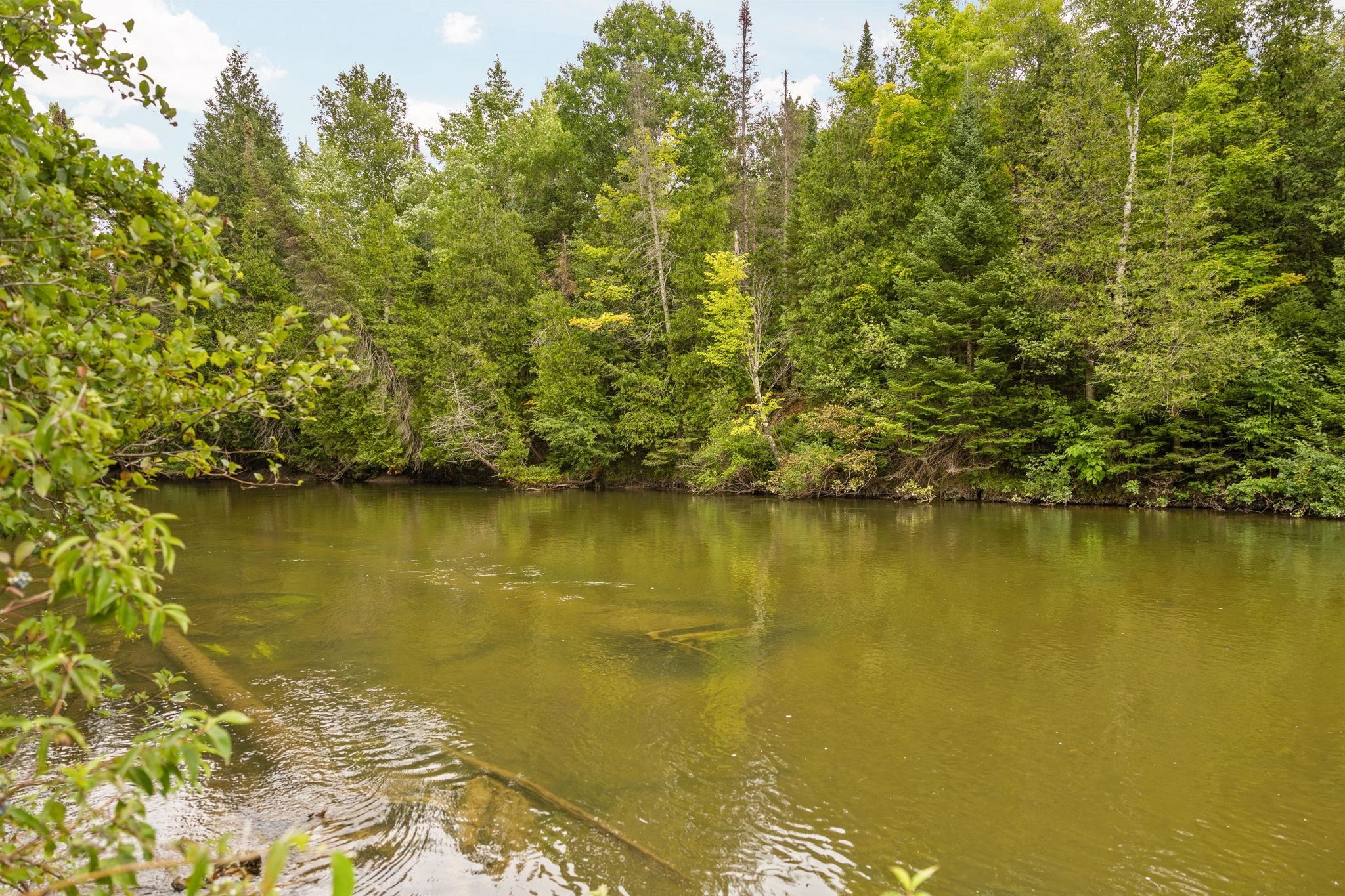 13045 Coster Road Southwest Fife Lake, MI 49633 - Photo 10 of 81 Gallery Image 10