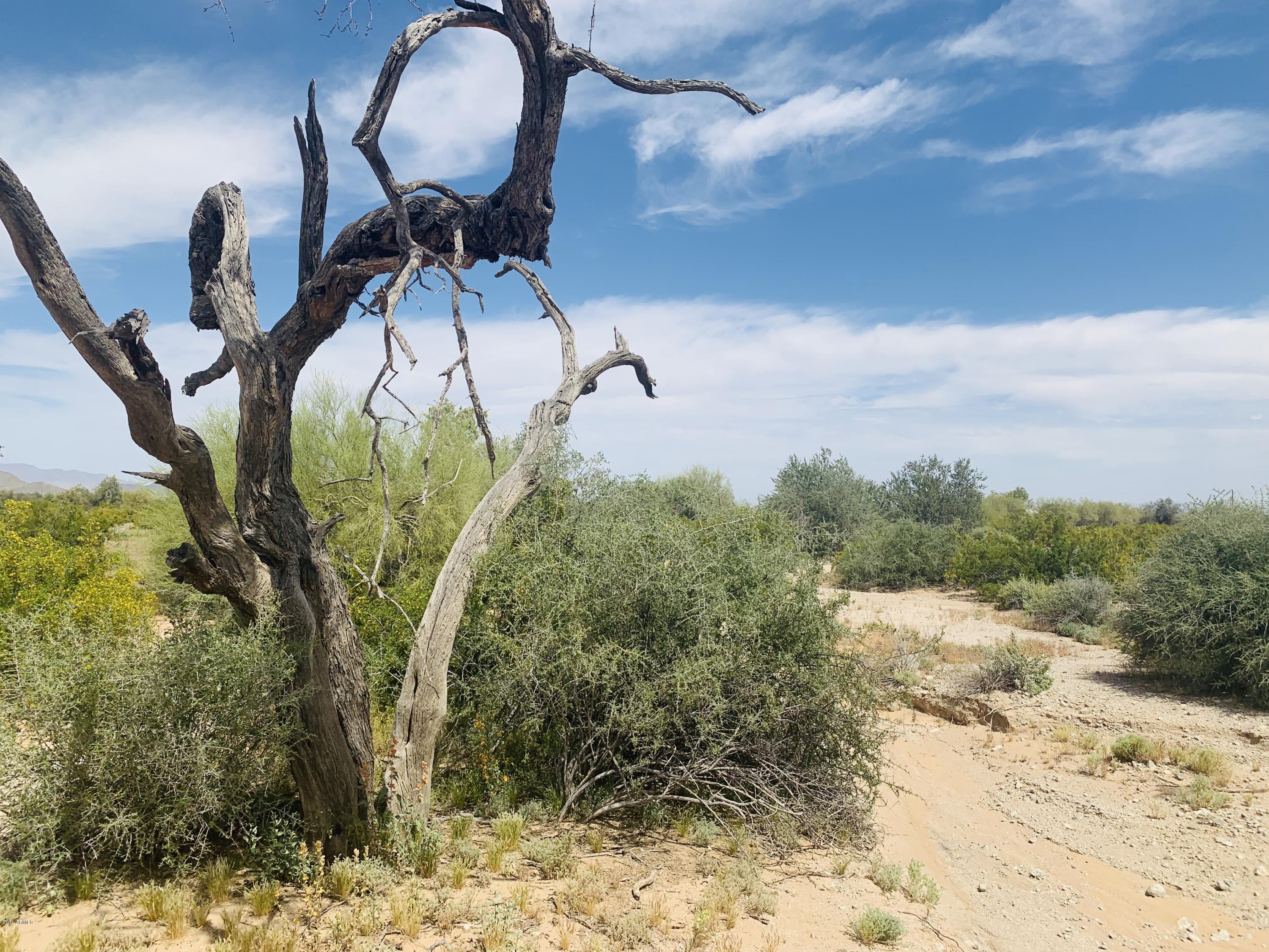 0 West Century Road Maricopa, AZ 85139 - Photo 4 of 11 19788F09-35E9-4679-82C1-8EB97A413109