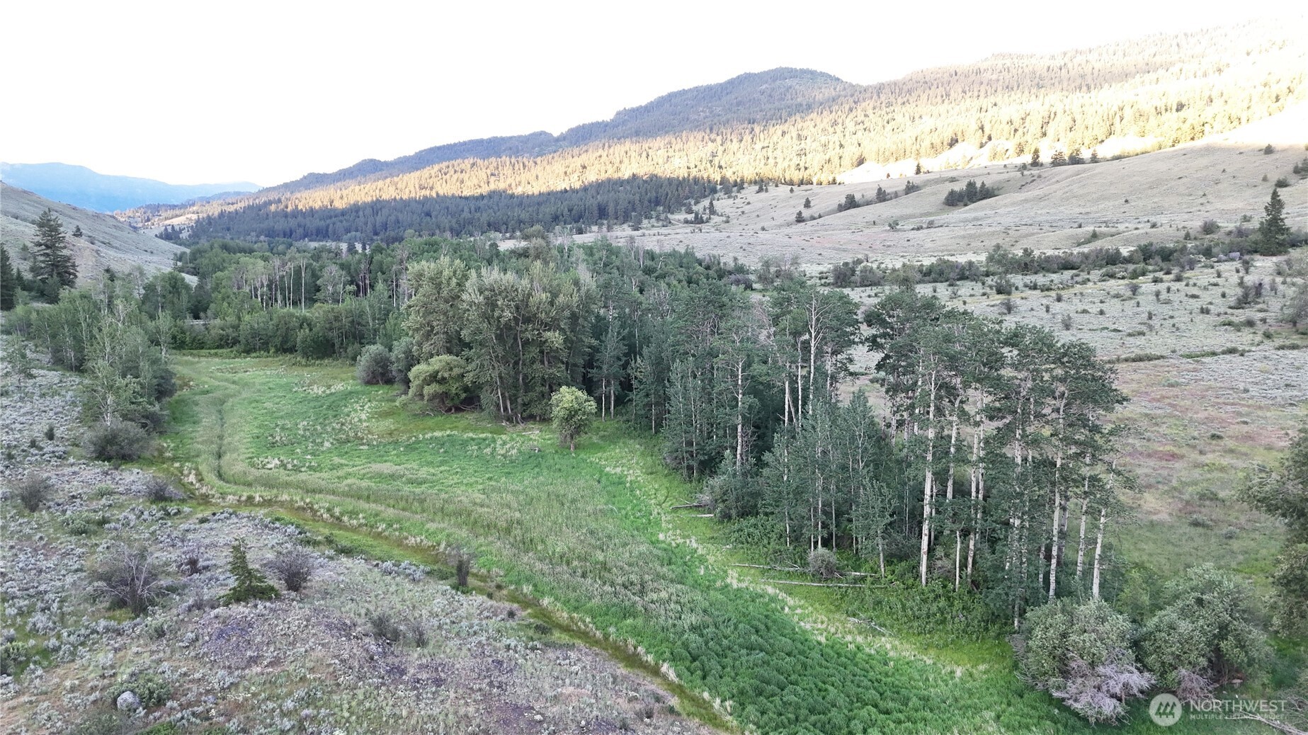 0 Chopaka Mountain Road Loomis, WA 98827 - Photo 14 of 18 Gallery Image 14