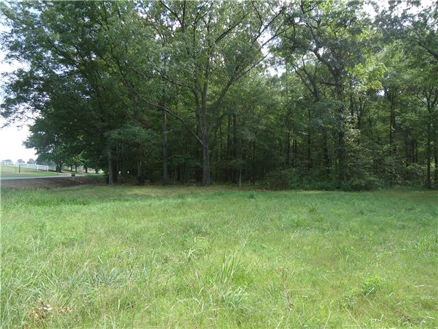 0 Davis Road Athens, AL 35611 - Photo 11 of 14