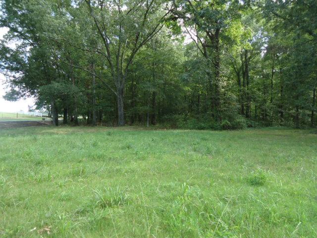0 Davis Road Athens, AL 35611 - Photo 14 of 14