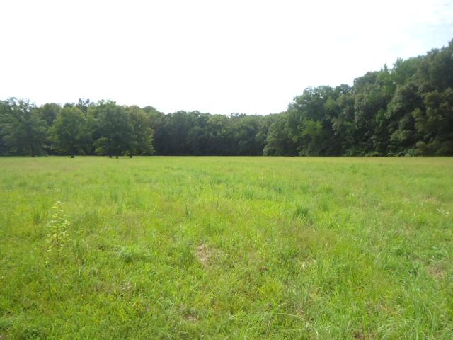 0 Davis Road Athens, AL 35611 - Photo 3 of 14
