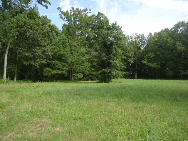 0 Davis Road Athens, AL 35611 - Photo 4 of 14
