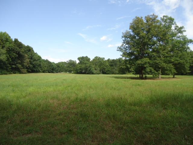 0 Davis Road Athens, AL 35611 - Photo 8 of 14