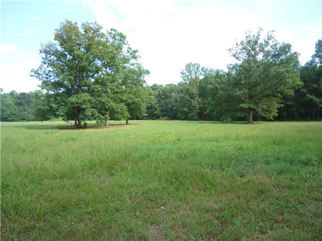 0 Davis Road Athens, AL 35611 - Photo 10 of 14