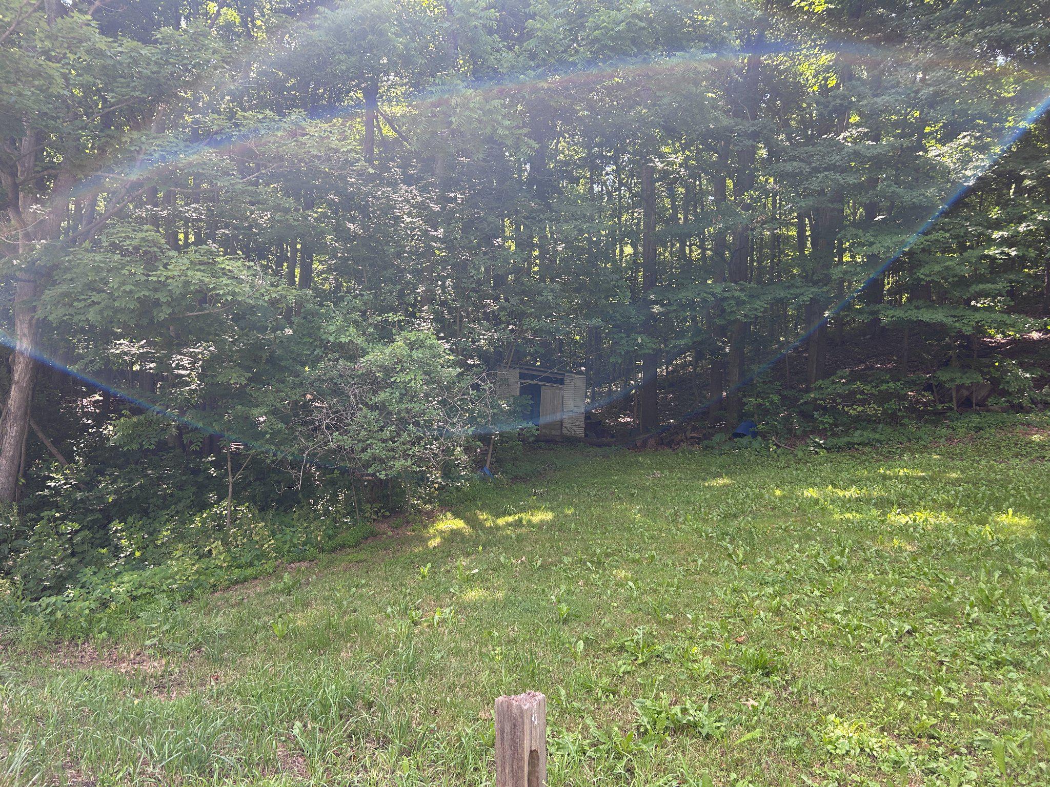 17738 Amberson Road Spring Run, PA 17262 - Photo 6 of 23 a view of a back yard