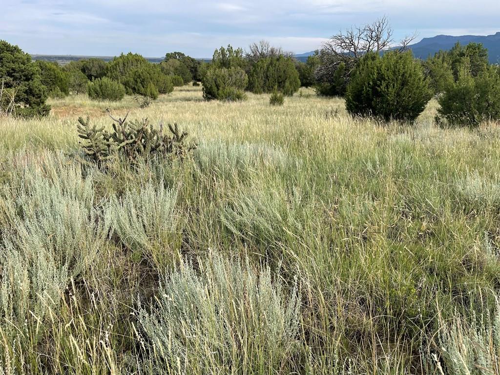 Tbd(#93 Rancho Verde Road Trinidad, CO 81082 - Photo 3 of 20 Gallery Image 3