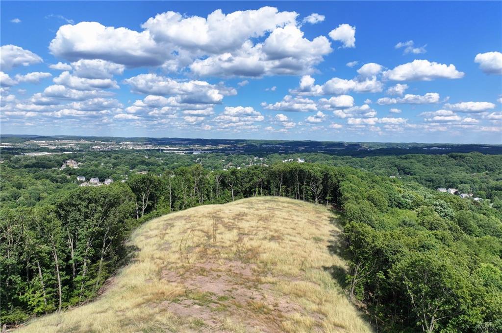 0 Woodland Road Mars, PA 15005 - Photo 22 of 38