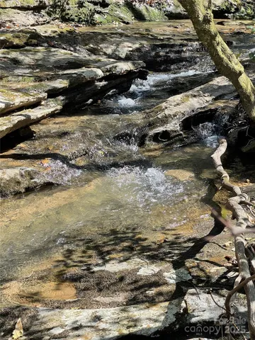 a view of a forest with trees in the background