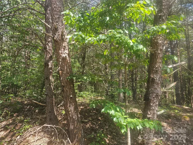 a view of ocean view