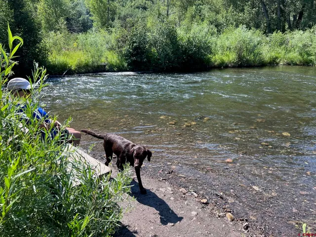 a view of a backyard of a house