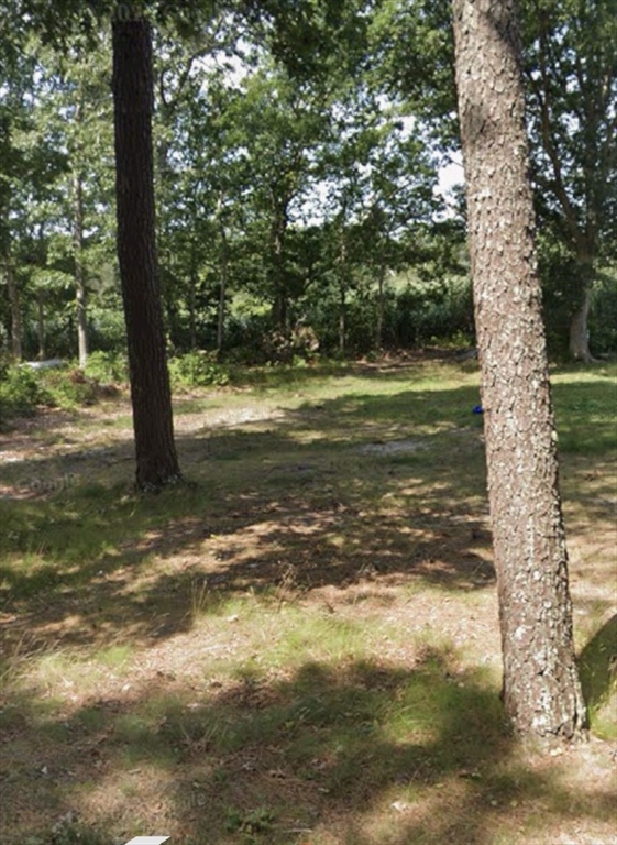 25 Linwood Avenue Wareham, MA 02571 - Photo 2 of 6 a view of a tree with a yard