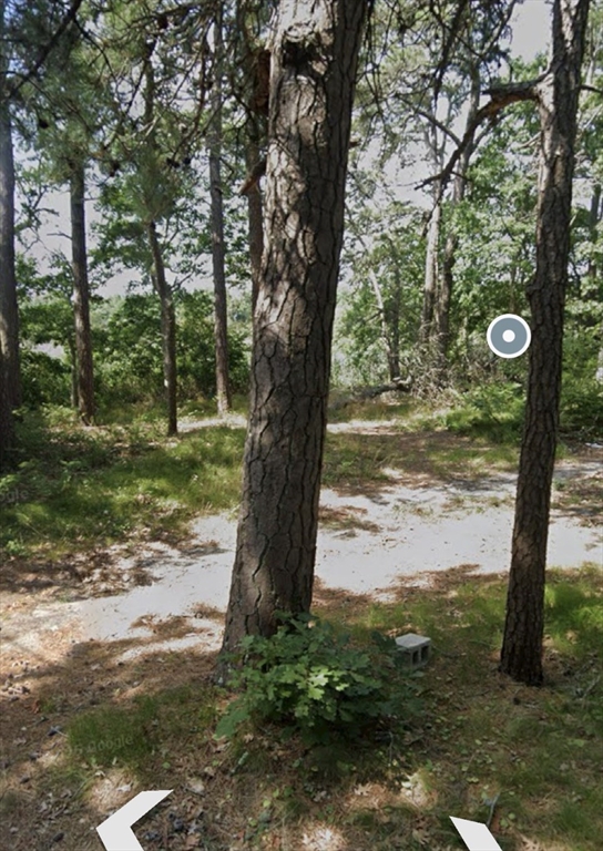25 Linwood Avenue Wareham, MA 02571 - Photo 3 of 6 a view of a tree in a yard with a large tree