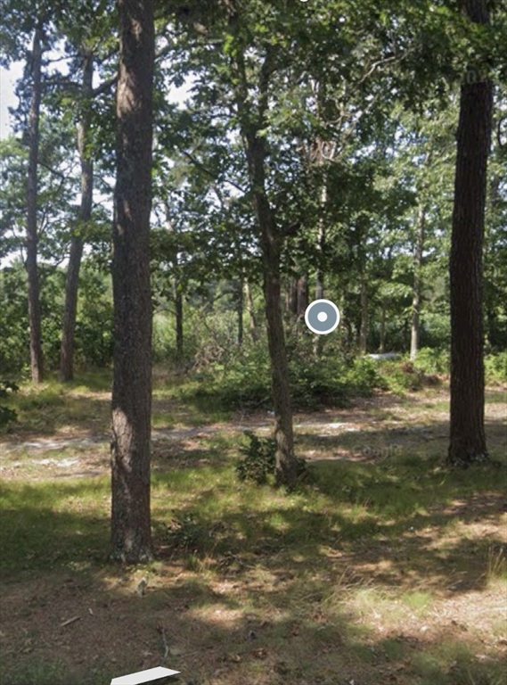 25 Linwood Avenue Wareham, MA 02571 - Photo 4 of 6 a view of a tree in the middle of a yard