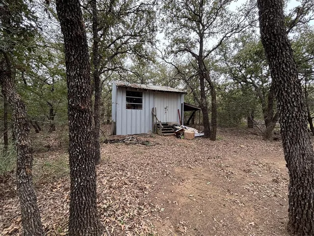 a view of a backyard with a tree
