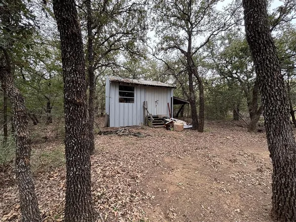 a view of a backyard with a tree