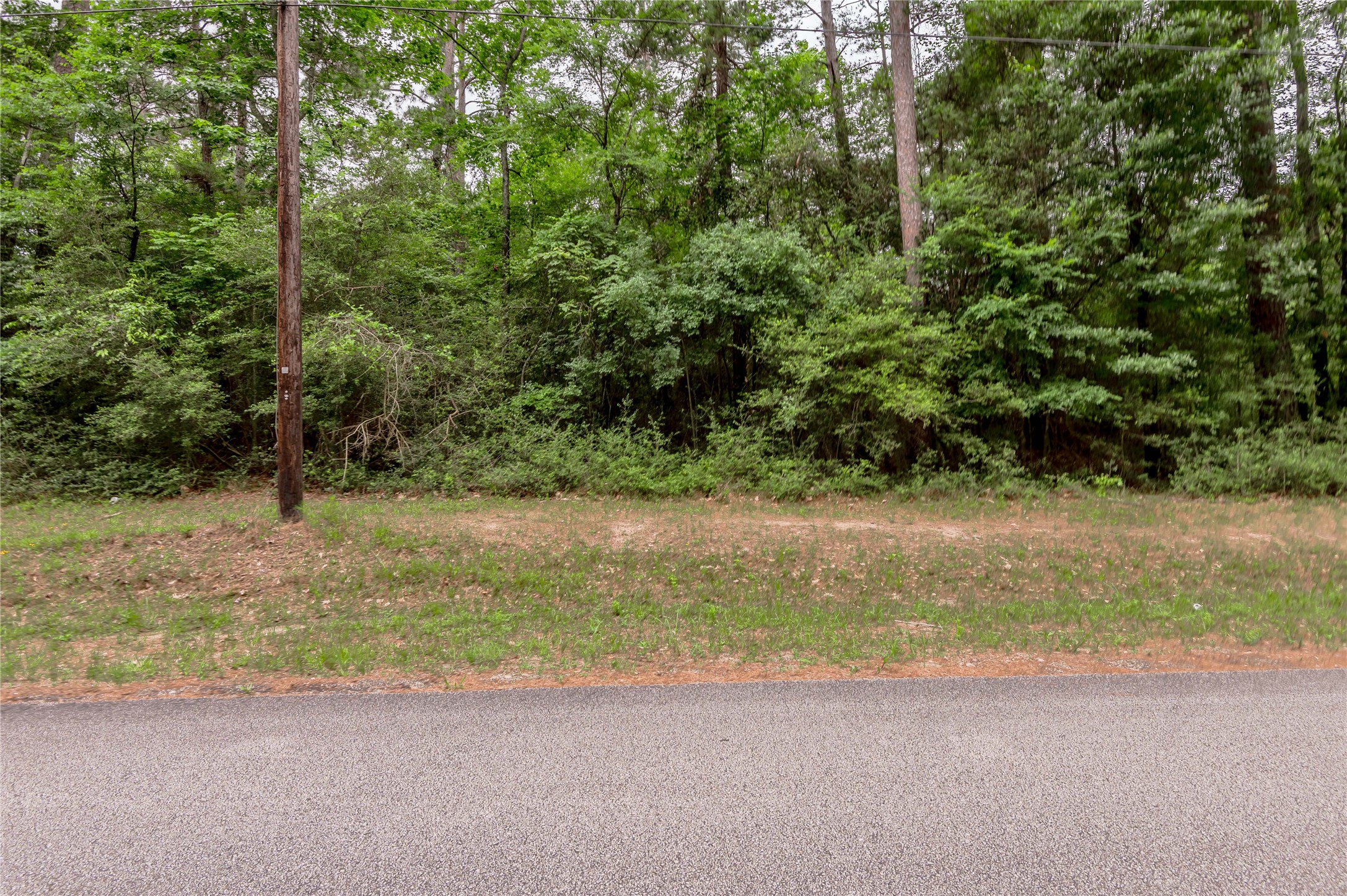 Lot 07 Oak Drive Trinity, TX 75862 - Photo 5 of 36
