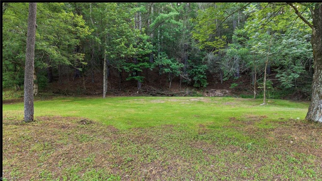 11526 Highway 421 Purlear, NC 28665 - Photo 32 of 45