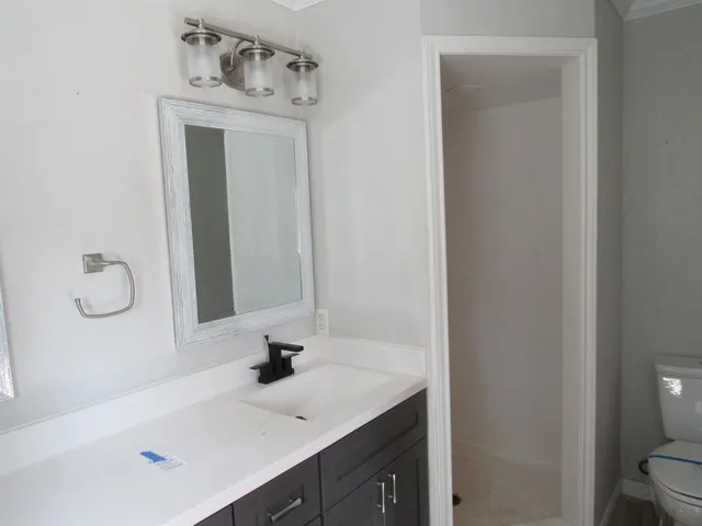 a bathroom with a sink vanity and toilet