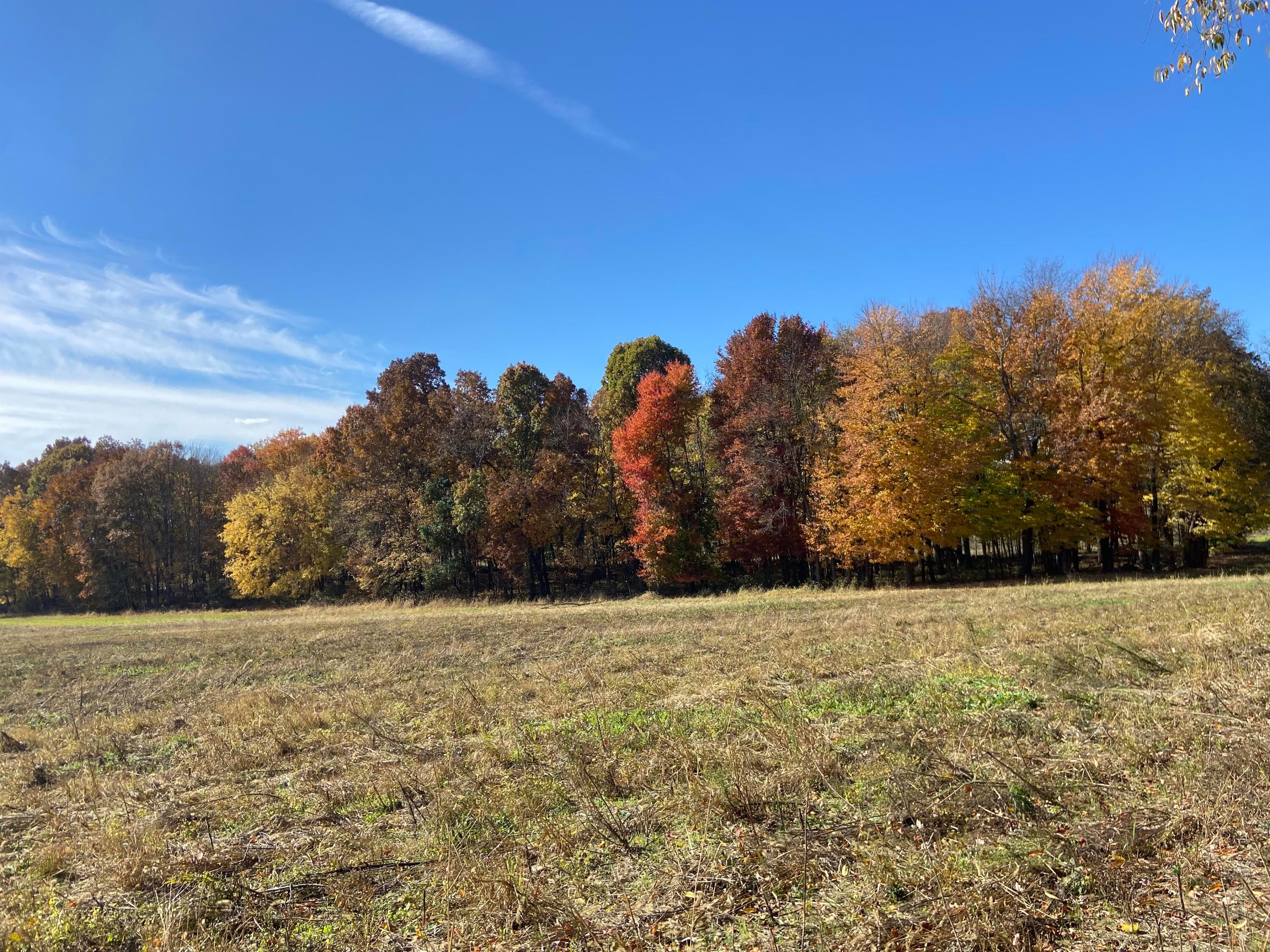0 Dog Hollow Road, Unit LOT #5 Utica, OH 43080 - Photo 24 of 24