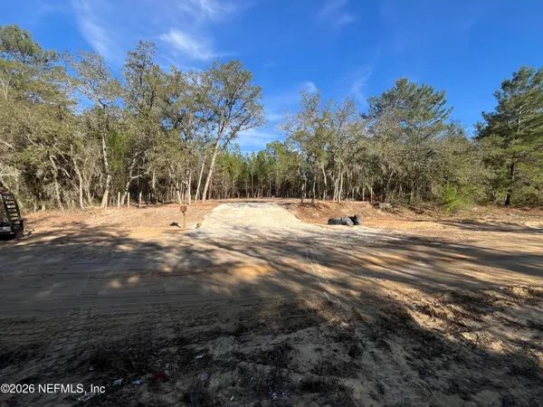 a view of a yard with a tree
