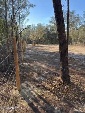a front view of a house with trees