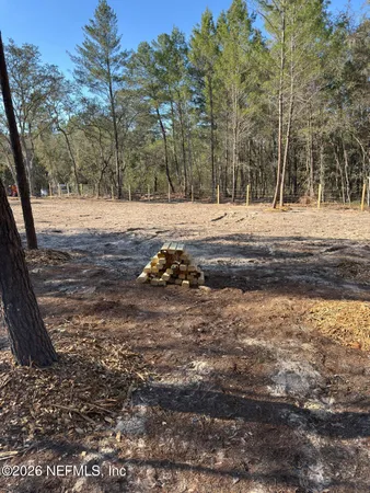 a backyard of a house with lots of green space