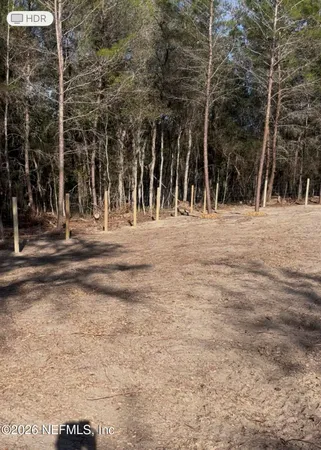 a view of road with trees