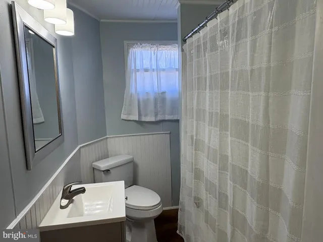 a bathroom with a sink a toilet and shower curtain