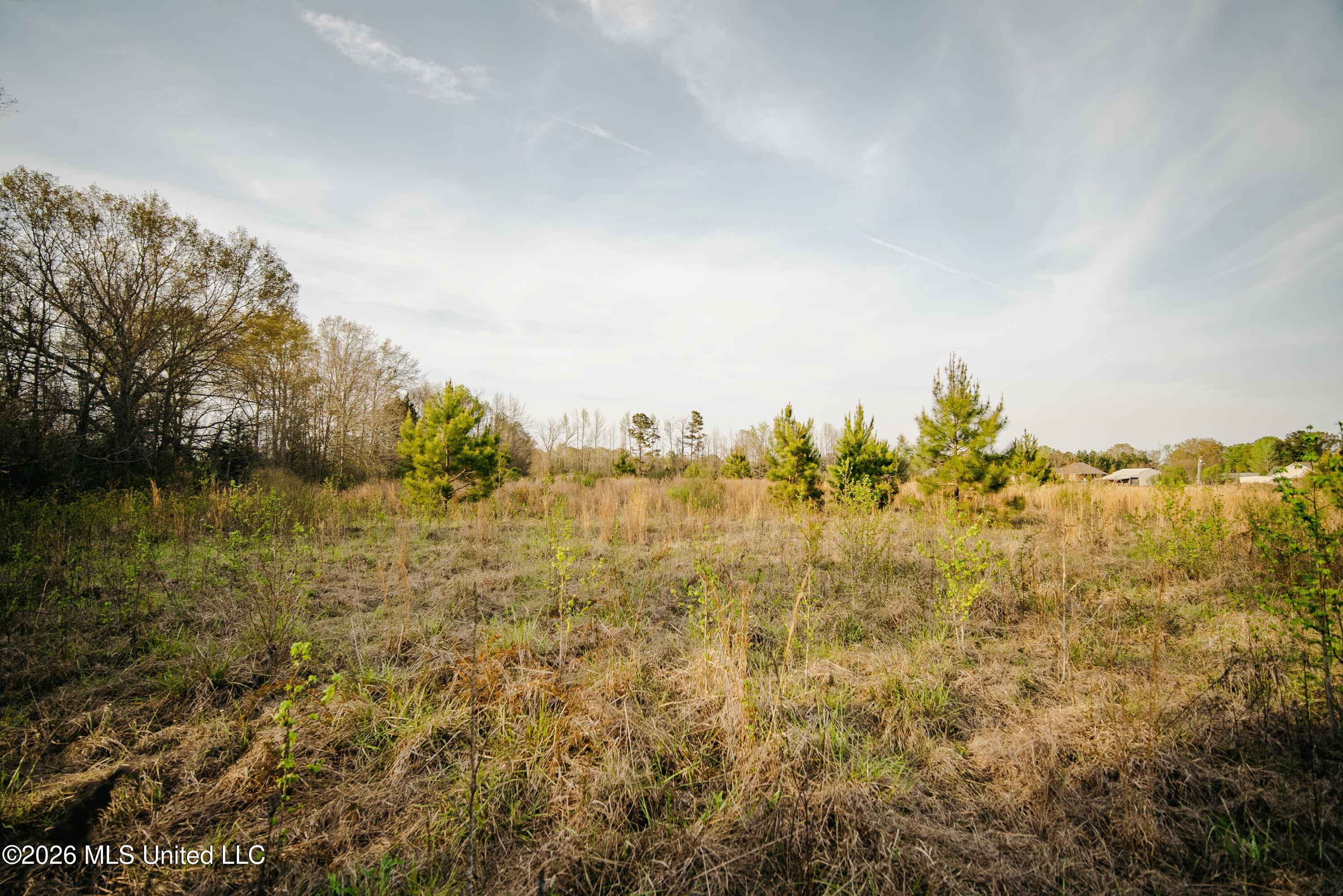 1844 Volley Campbell Road Terry, MS 39170 - Photo 25 of 81 DSC08612