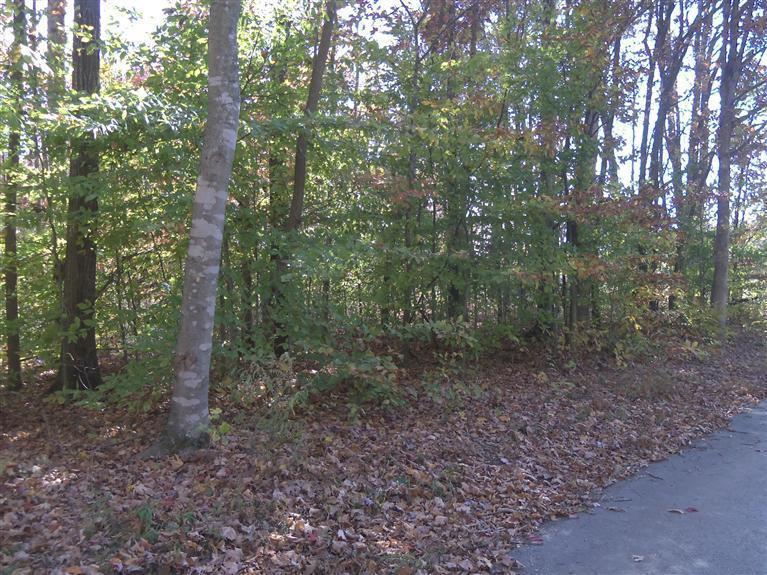 3 North Ridge Road Nancy, KY 42544 - Photo 19 of 30 Additional Photo