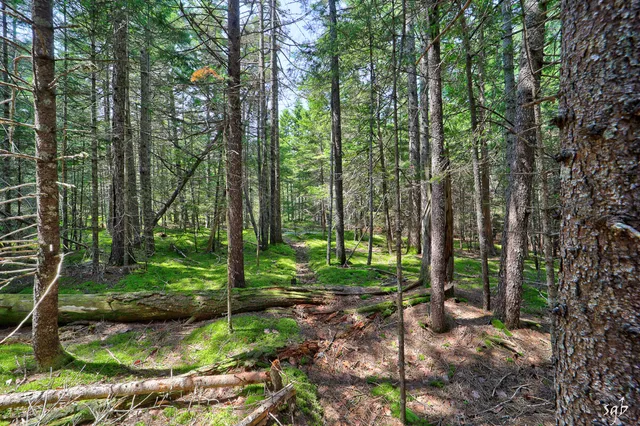 $158,000 | Lot 3 Bear Springs Lane, Surry, ME 04684
