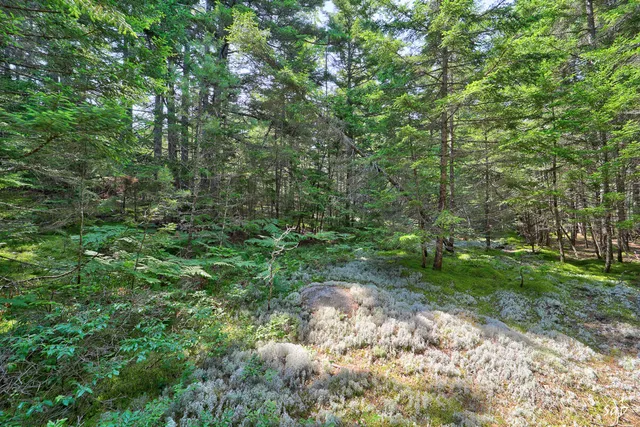 $158,000 | Lot 3 Bear Springs Lane, Surry, ME 04684
