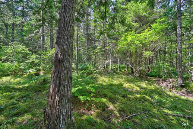 $158,000 | Lot 3 Bear Springs Lane, Surry, ME 04684