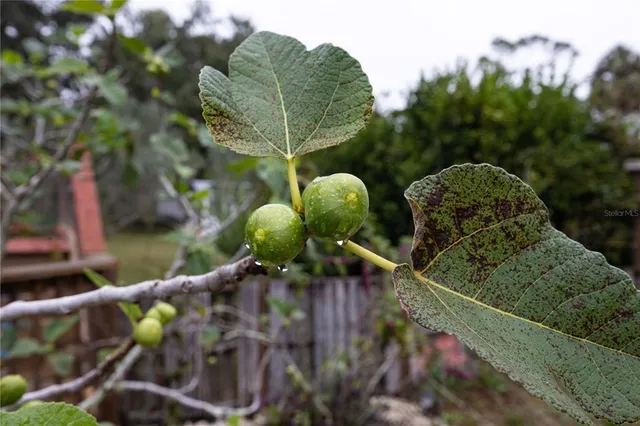 $199,000 | 7 55th Street, Yankeetown, FL 34498