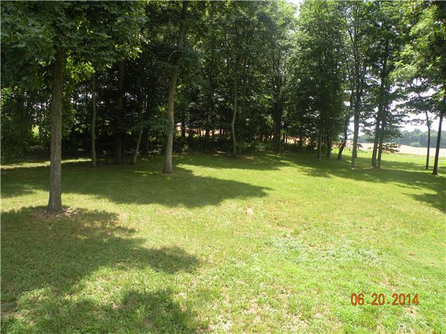 6047 McDaniels Road Springfield, TN 37172 - Photo 9 of 9 Another Front view