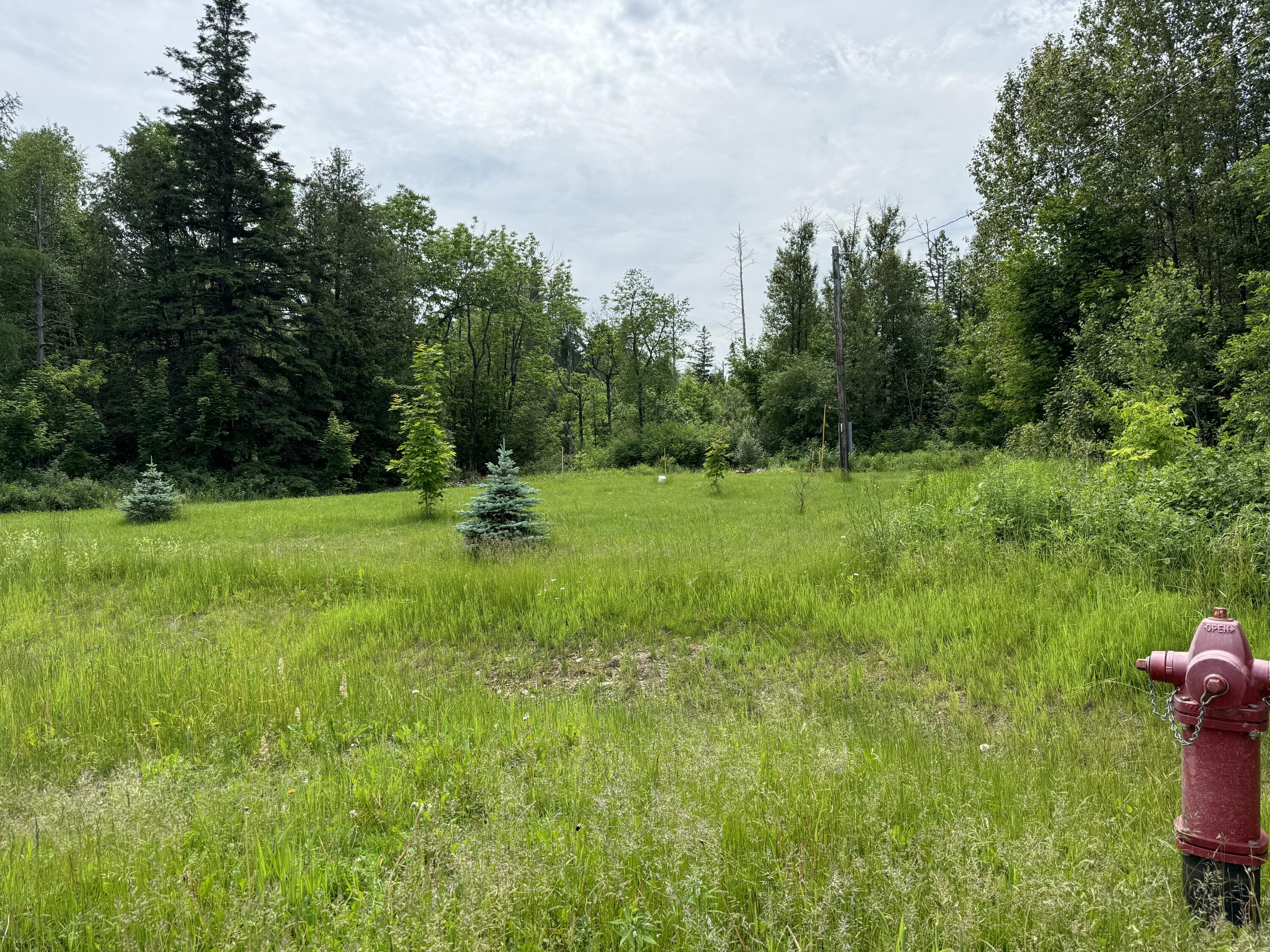 107 Robinson Road Blaine, ME 04734 - Photo 3 of 4