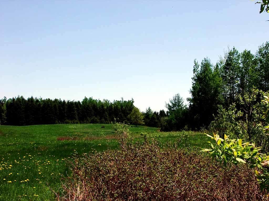 Lot 7 Fullerton Road Monticello, ME 04760 - Photo 12 of 16 fullerton-rd-monticello-1