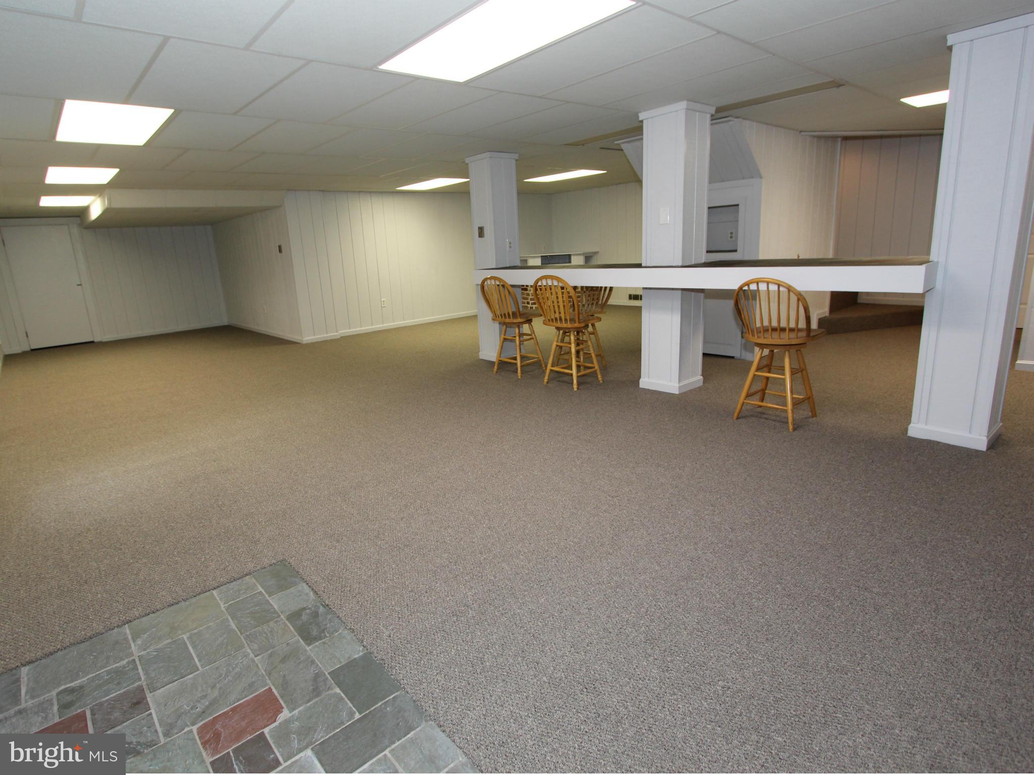 8129 Stone Ridge Drive Frederick, MD 21702 - Photo 17 of 30 Lower Level View #3.