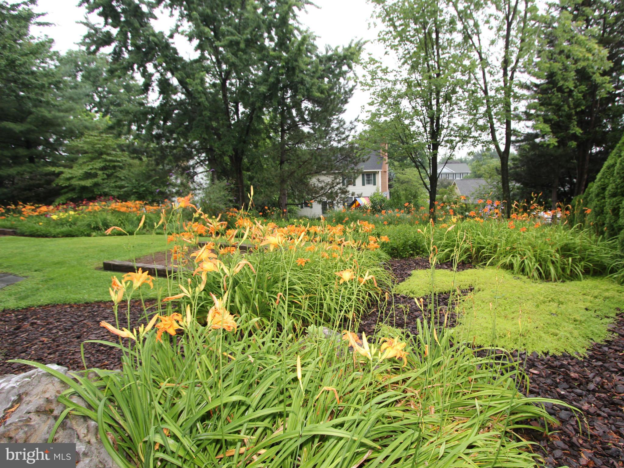 8129 Stone Ridge Drive Frederick, MD 21702 - Photo 27 of 30 Backyard, View #2.