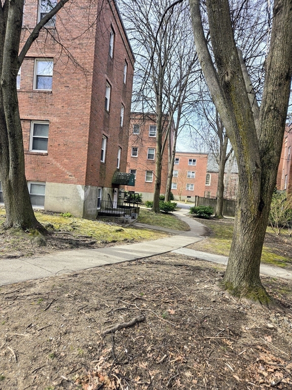 465 Arborway, Unit 13 Boston, MA 02130 - Photo 6 of 41 a view of a house with a big yard and large tree