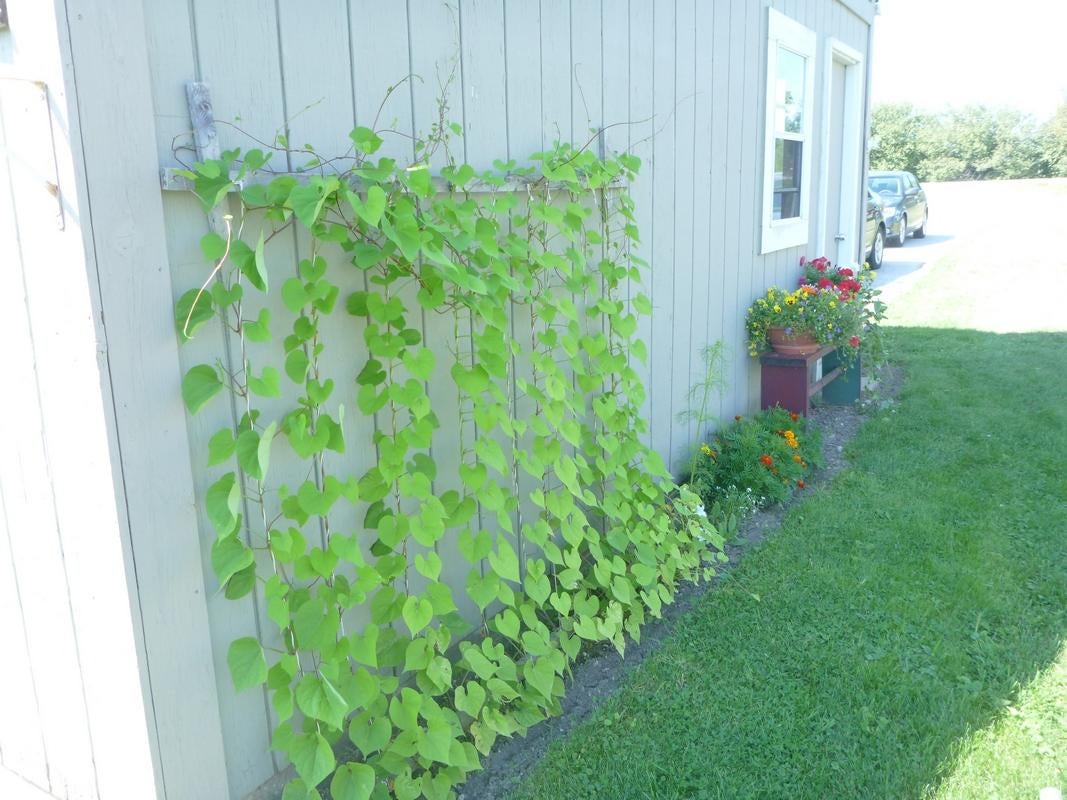 N8419 Krause Road Engadine, MI 49827 - Photo 12 of 34 Gallery Image 12