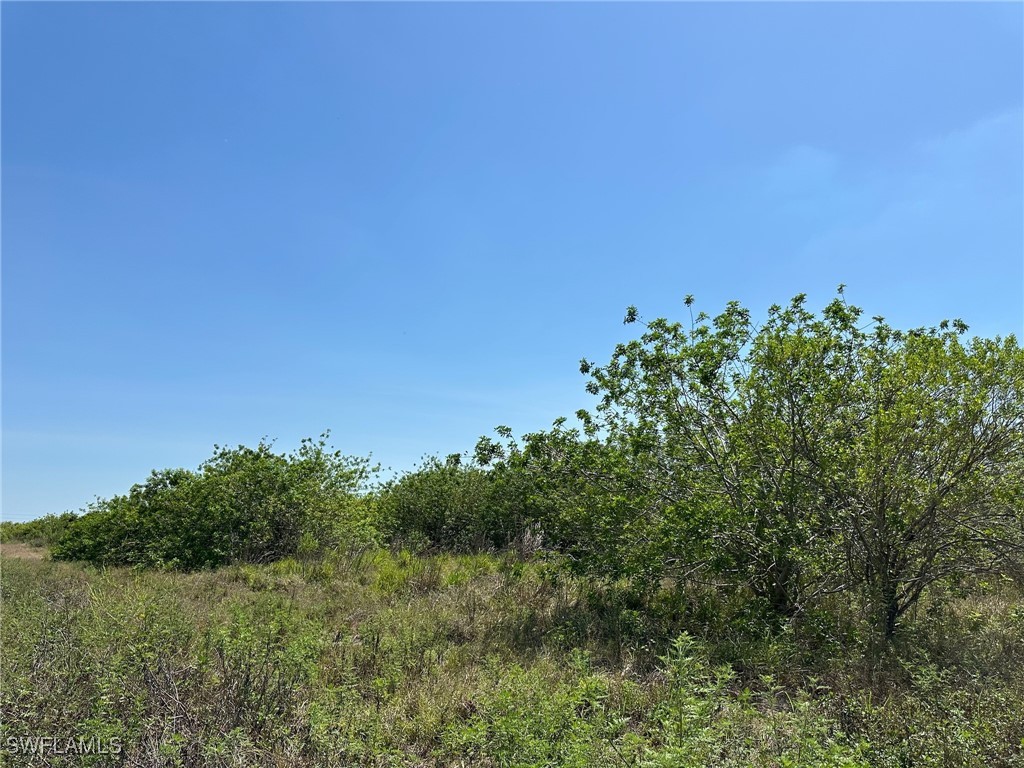 6389 6th Road Clewiston, FL 33440 - Photo 2 of 5 a view of a green field