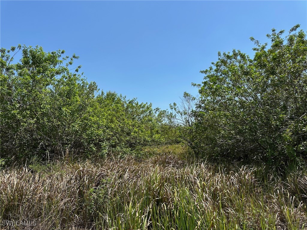 6389 6th Road Clewiston, FL 33440 - Photo 4 of 5 a view of a lush green space